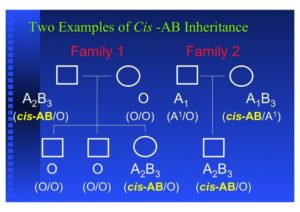 Yes: Blood type AB can have type O offspring … and vice versa! – The Rh ...